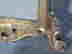 item-83058648=6