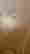 item-88710646=12