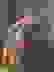 item-91215740=6