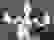 item-91736782=7