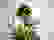 item-6183019=2