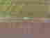 item-126396741=11