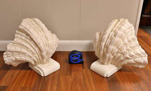 PR DECORATIVE PLASTER SHELLS ATTR SERGE ROCHE: Plaster.Attr Serge Roche. Sconce housing. 11" h x 15 3/8" w x 9 3/8"d.