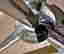 item-131037246=12