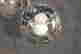 item-131037246=4