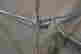 item-131037246=6