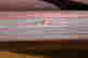 item-131037258=9