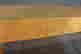 item-131037265=5