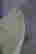 item-131037270=4