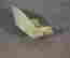 item-131037270=6