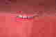 item-131037274=5