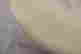 item-131037278=4