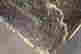 item-131037318=13