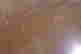 item-131037329=3