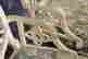 item-131037354=5