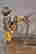 item-131037364=5