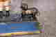 item-131037365=6