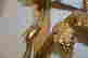 item-131504055=15