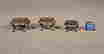 item-131504086=4