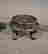 item-131504086=7