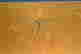 item-131625592=9