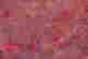 item-131811694=5