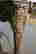 item-133788128=7
