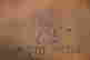 item-133788135=8