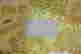 item-133855506=5