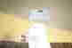 item-134158660=9