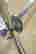 item-136983203=4
