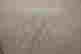 item-136983234=11