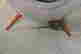 item-136983282=4