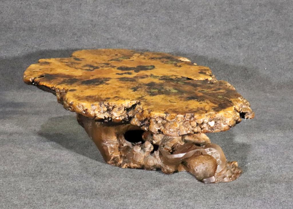 ROOT WOOD COFFEE TABLE (1 of 7)