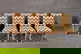 item-167716290=5