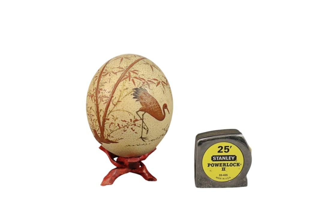 OSTRICH EGG & STAND (1 of 7)