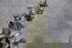 item-180969071=12