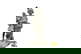 item-180969071=1