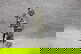 item-180969071=4