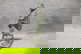 item-180969071=8