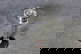 item-207952489=12