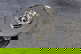 item-207952489=8