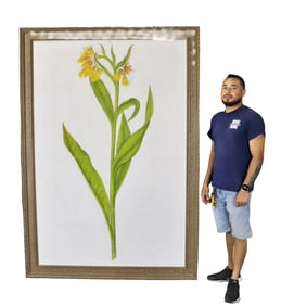 LARGE PAINTING OF BOTANICAL STUDY