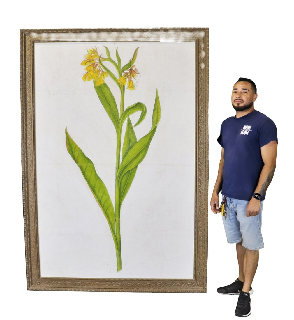 LARGE PAINTING OF BOTANICAL STUDY (1 of 11)