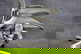 item-208046771=11
