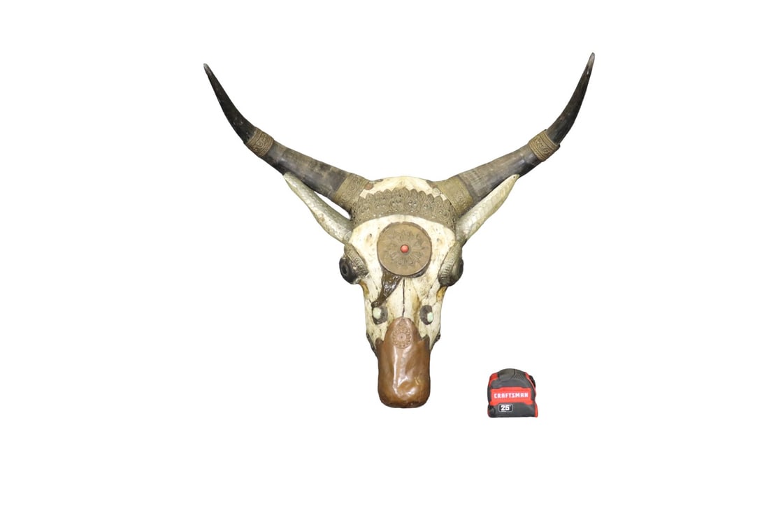 DECORATIVE BULL SKULL MANNER ANTHONY REDMILE (1 of 7)