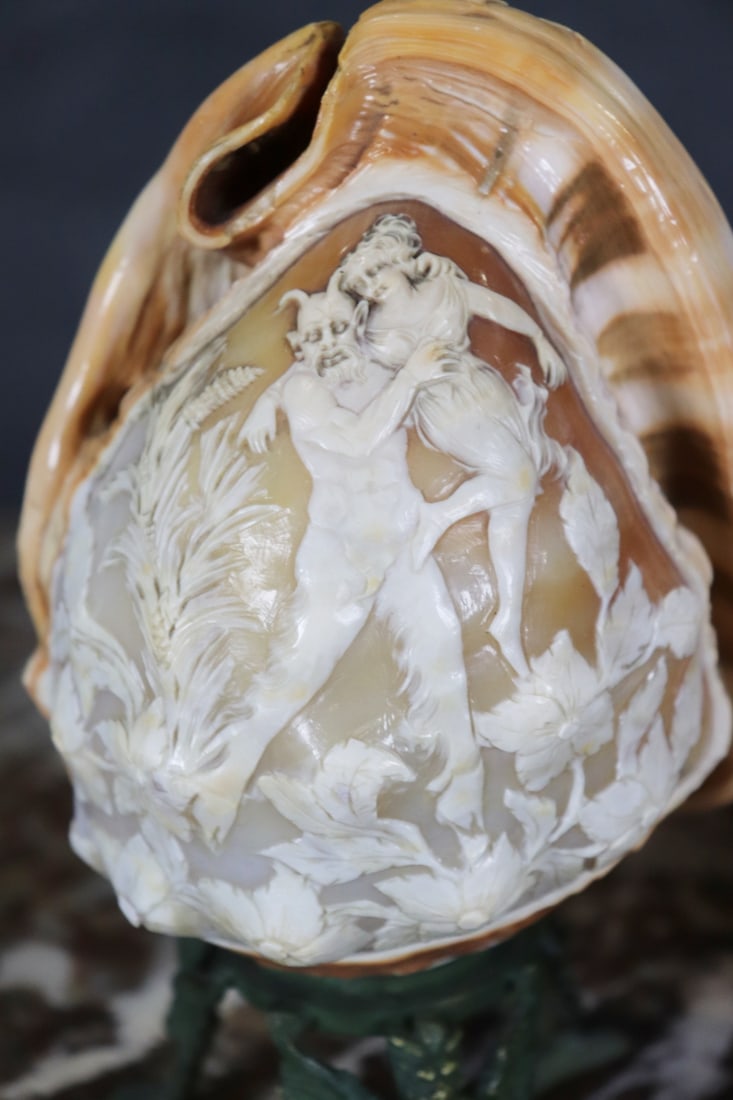 CAMEO SHELL - 2