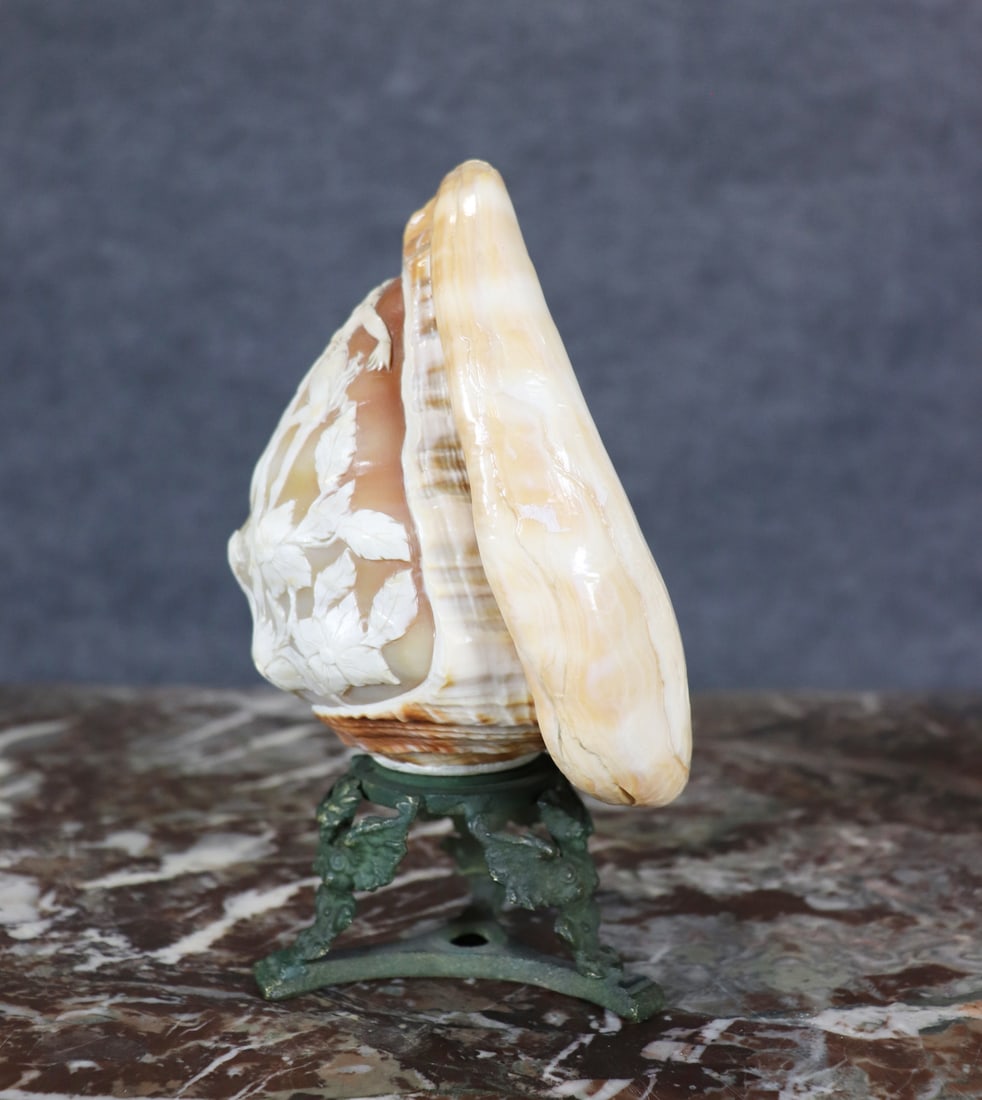 CAMEO SHELL - 3