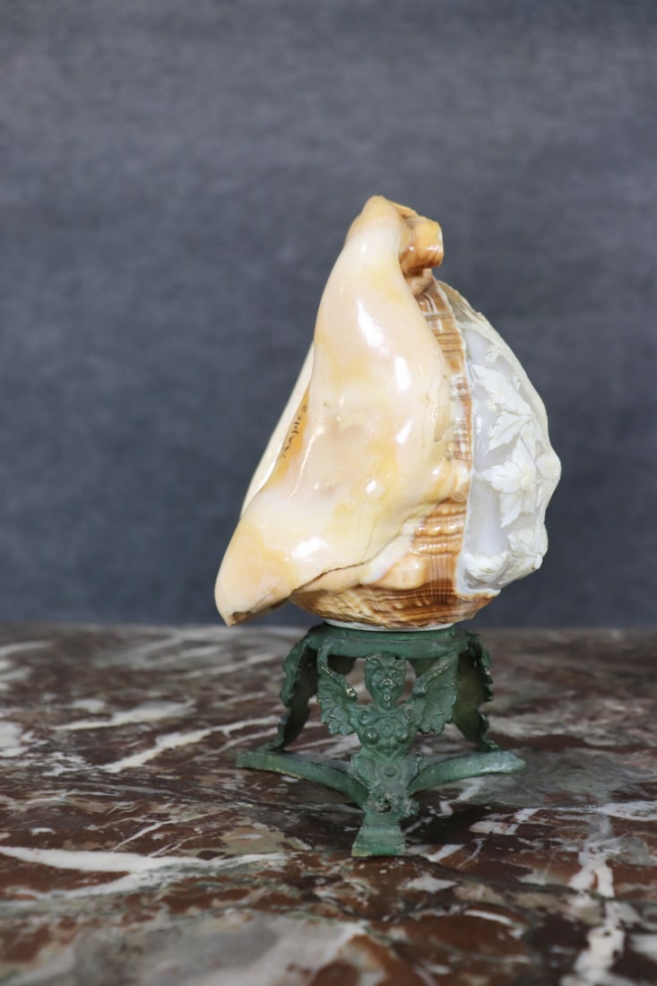 CAMEO SHELL - 6