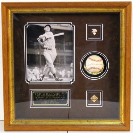 TED WILLIAMS AUTOGRAPHED BASEBALL: COA included. Frame 21 1/4"h. x 20 1/4"w.